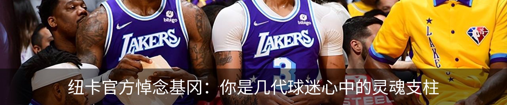 最新动态